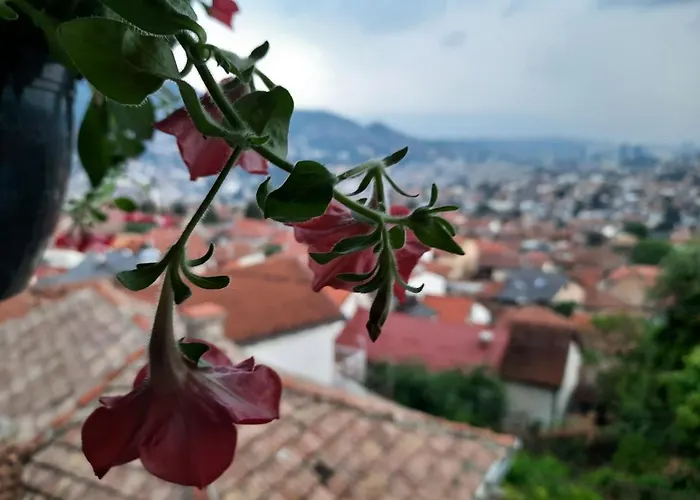 Terrace View In The Heart Of Holiday home